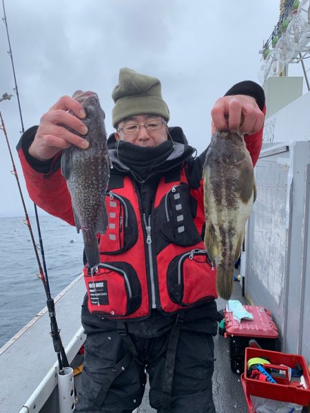 シーランチ 釣果