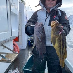 シーランチ 釣果