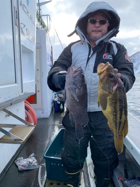 シーランチ 釣果