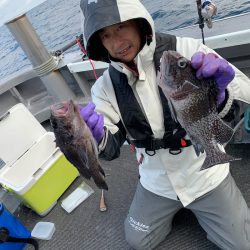 シーランチ 釣果