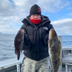 シーランチ 釣果