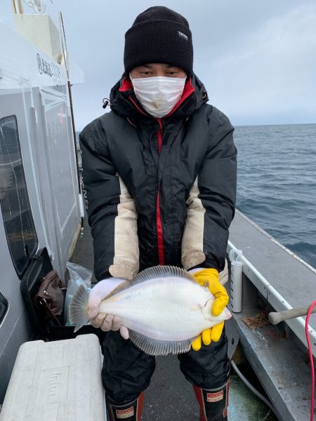 シーランチ 釣果