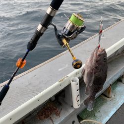 シーランチ 釣果