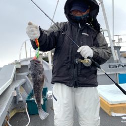 シーランチ 釣果