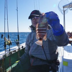 Big One ビッグワン 釣果