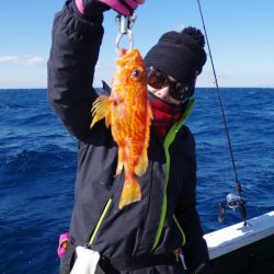 Big One ビッグワン 釣果