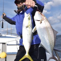 渡船屋たにぐち 釣果