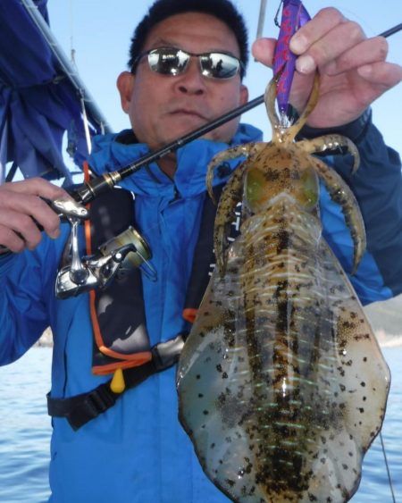 ブルースフィッシングサービス 釣果