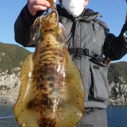 ブルースフィッシングサービス 釣果