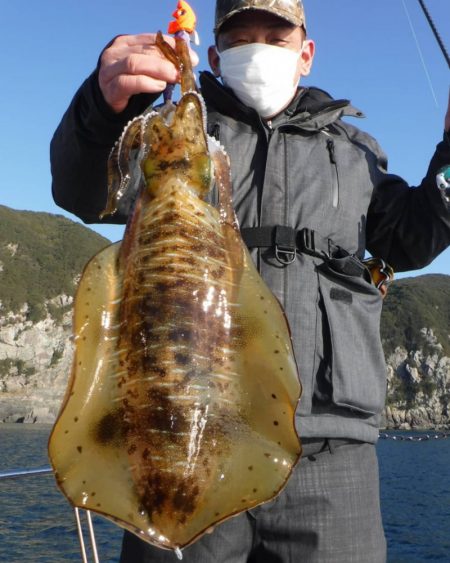 ブルースフィッシングサービス 釣果