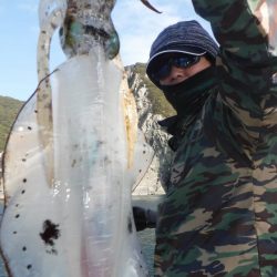 ブルースフィッシングサービス 釣果