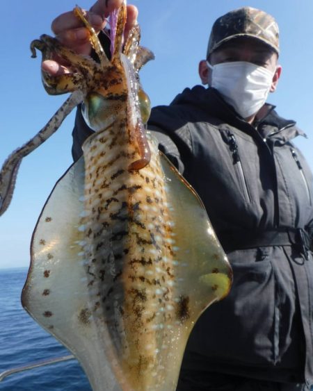 ブルースフィッシングサービス 釣果