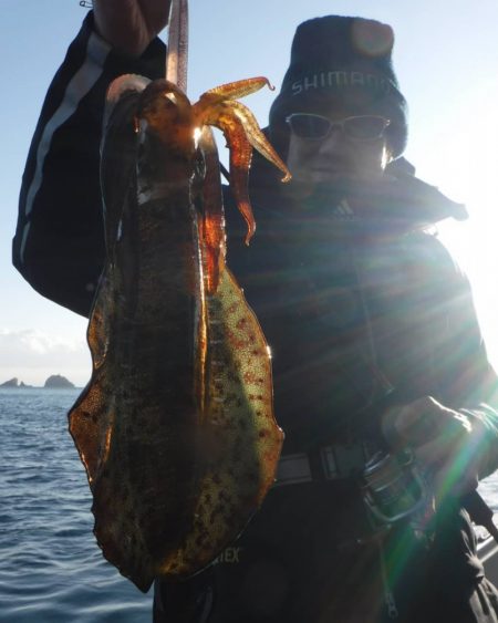 ブルースフィッシングサービス 釣果