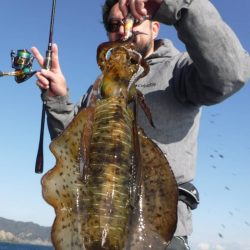 ブルースフィッシングサービス 釣果