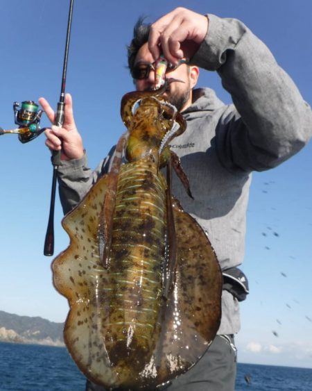 ブルースフィッシングサービス 釣果
