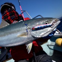 渡船屋たにぐち 釣果