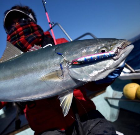 渡船屋たにぐち 釣果
