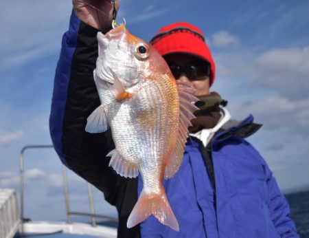 渡船屋たにぐち 釣果