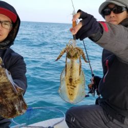 ソルトウォーターガイドフレンズ 釣果