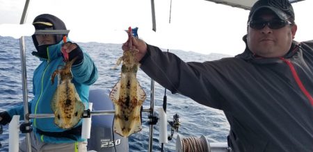 ソルトウォーターガイドフレンズ 釣果