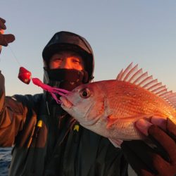 だて丸 釣果