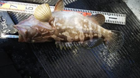 第二龍勢丸 釣果