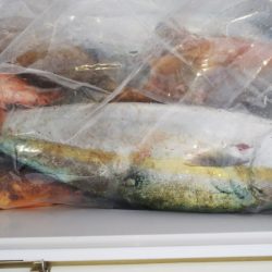 第二龍勢丸 釣果