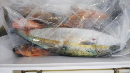 第二龍勢丸 釣果