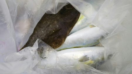 第二龍勢丸 釣果