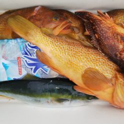 第二龍勢丸 釣果