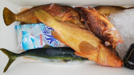 第二龍勢丸 釣果