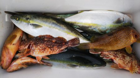 第二龍勢丸 釣果