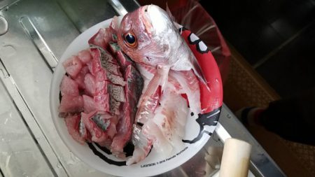 龍神丸(鹿児島) 釣果