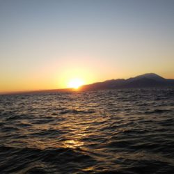 第二龍勢丸 釣果