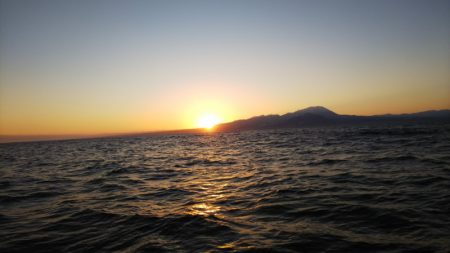 第二龍勢丸 釣果