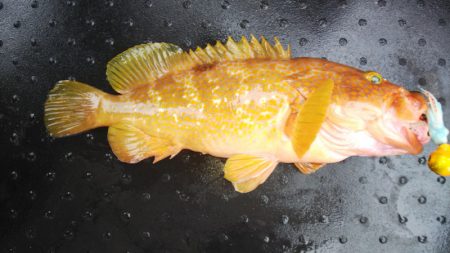 第二龍勢丸 釣果