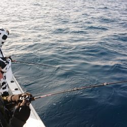 海皇丸 釣果