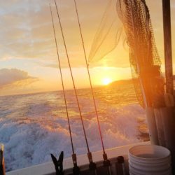 第二龍勢丸 釣果