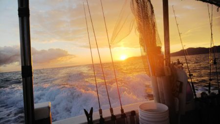 第二龍勢丸 釣果