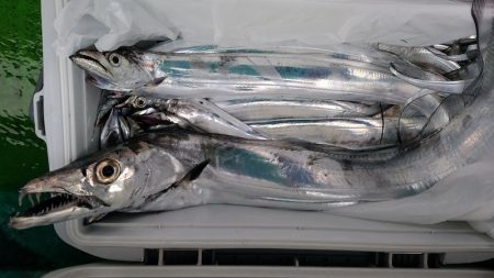 小島丸 釣果