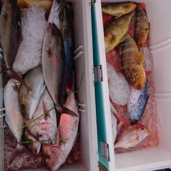 海皇丸 釣果