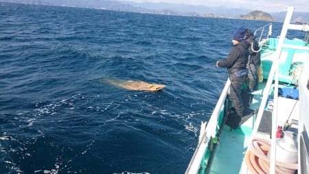 和栄丸 釣果