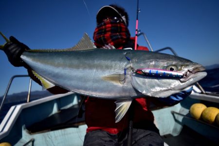 渡船屋たにぐち 釣果