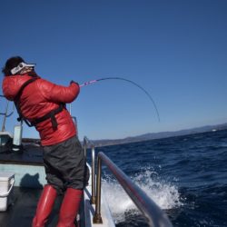 渡船屋たにぐち 釣果