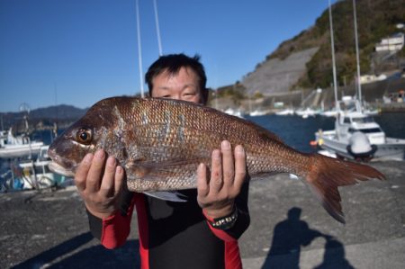 渡船屋たにぐち 釣果