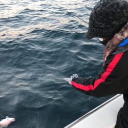 龍神丸(鹿児島) 釣果