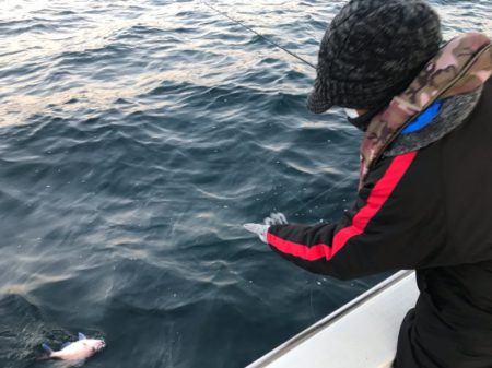 龍神丸(鹿児島) 釣果