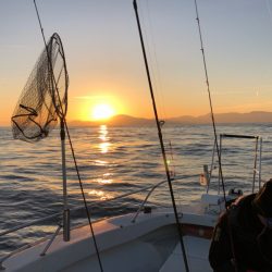 末広丸(熊本) 釣果