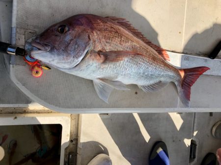 末広丸(熊本) 釣果