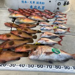 末広丸(熊本) 釣果